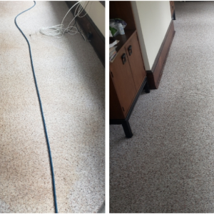 professional carpet cleaning